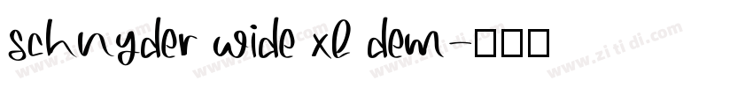 schnyder wide xl dem字体转换